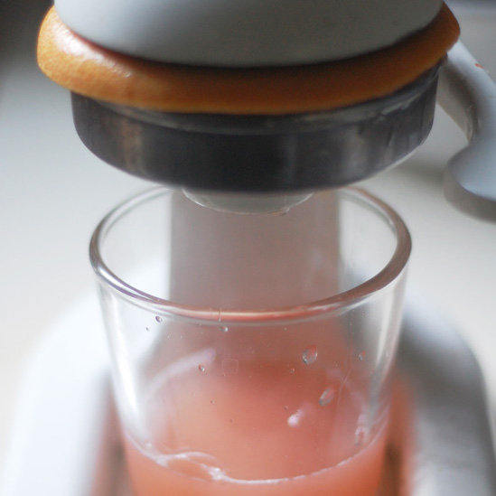 Manual Citrus Juicer