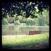 Have a Picnic by the Water in St. James's Park