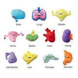 Plush Organs