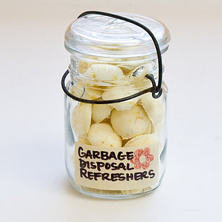 Homemade Garbage Disposal Refreshers