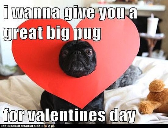 14 Hilarious Valentine's Day Memes