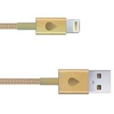 Gold iPhone Cable