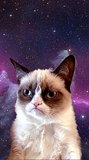 Grumpy Cat in Space