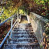 Outdoor Stairway Picture