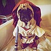 Geeky Dog Costumes