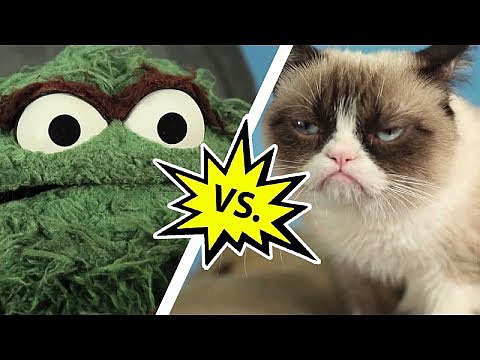 Oscar the Grouch vs. Grumpy Cat I Video