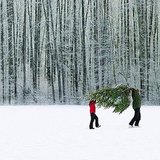 Winter Photography Ideas