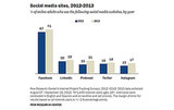 Online, But Off The Grid: Why 27% Of Online Adults Skip Social Networks