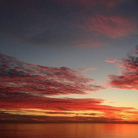 Palisades Park Sunset Picture