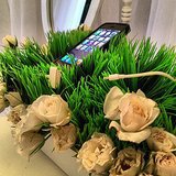 Wedding Guest Phone-Charging Station