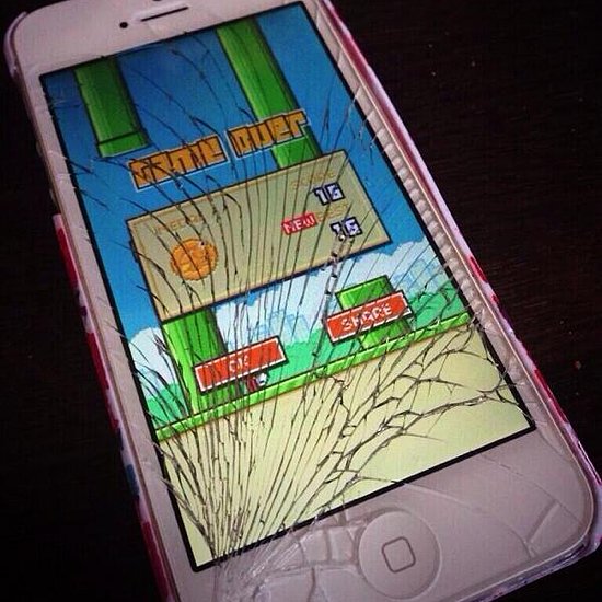 Flappy Bird Review