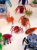 Hexbugs