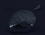 Cosmos Bed — Nighttime