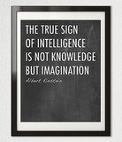 The true sign of intelligence is not knowledge but imagination ($20) 
