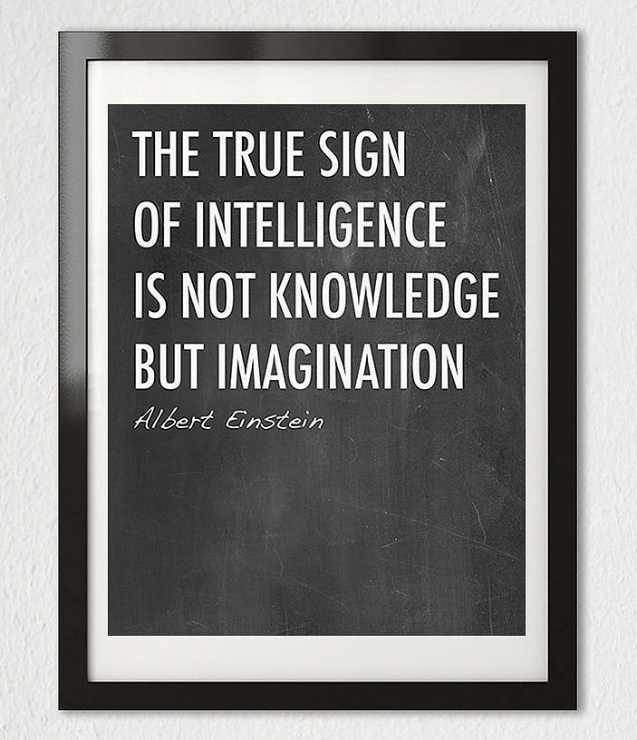 The true sign of intelligence is not knowledge but imagination ($20) 
