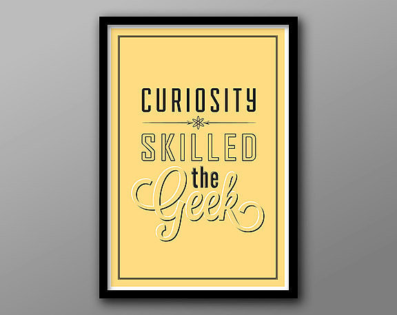 Curiosity skilled the geek ($18-$20) 
