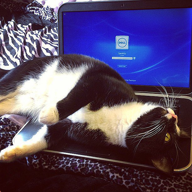 It's about that time — a few tips for cleaning your laptop.
Source: Instagram user sarahliz266
