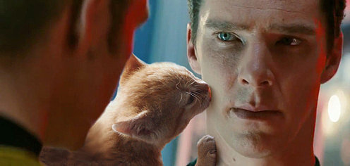 Here Is Benedict Cumberbatch Photoshopped With Cats