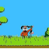 Duck Hunt