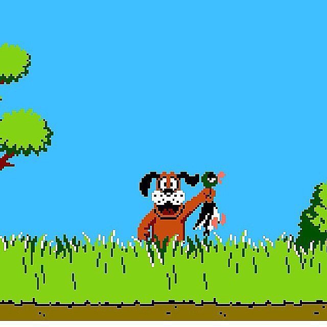 Duck Hunt