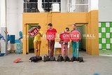 "The Writing on the Wall" by OK Go