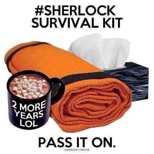 "GRAB YOUR HIATUS SURVIVAL KITS"
Source: Twitter user Timelordswife
