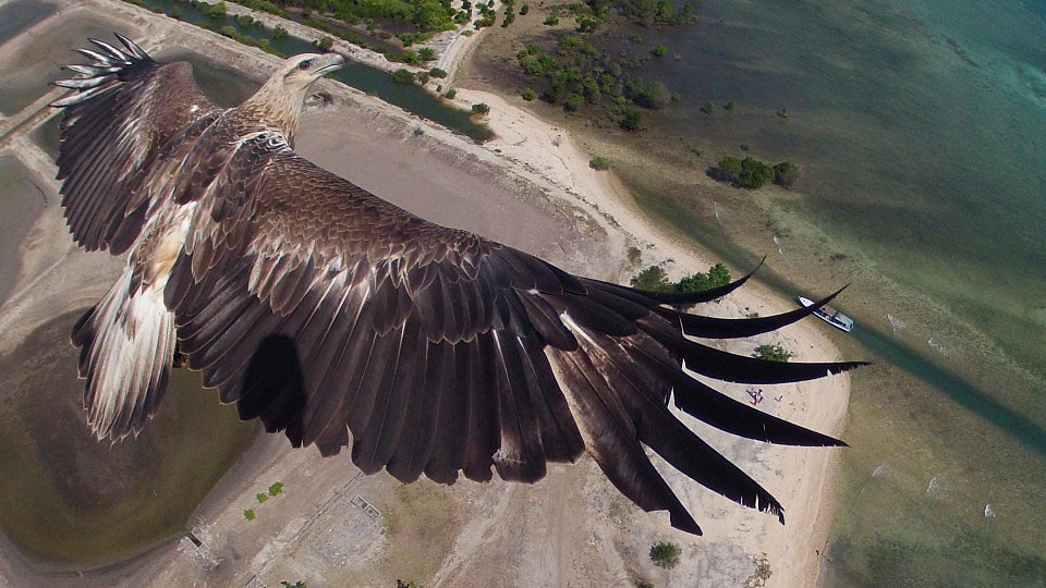 Bali Barat National Park, Indonesia — First Prize