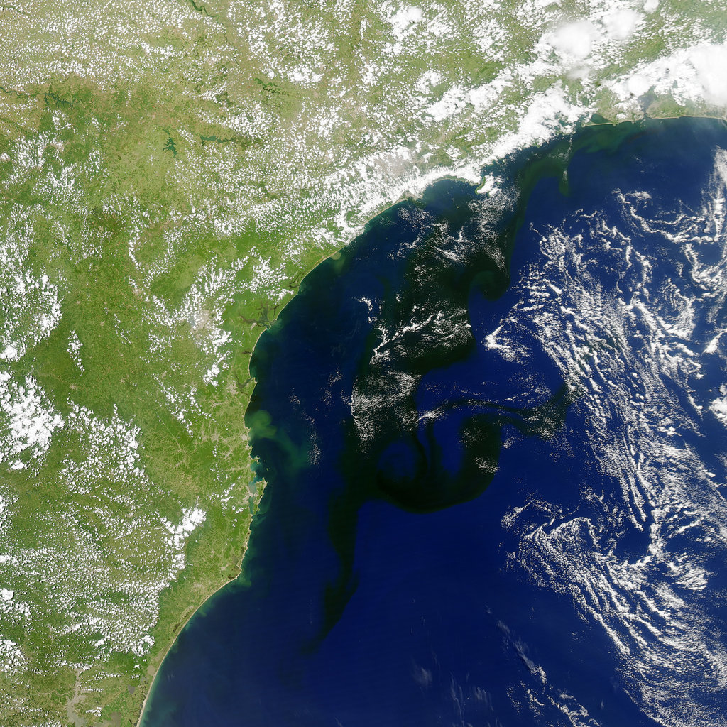 On Jan. 19, 2014, a camera on NASA’s Aqua satellite took this photo of a bloom of microscopic organisms off the southeastern coast of Brazil. The dark patches are the waters of the South Atlantic stretching as much as 500 miles from south to northeast. The strands of white are clouds.
Source: Jesse Allen/NASA 
